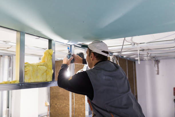 Best Attic Insulation Installation  in Garner, IA