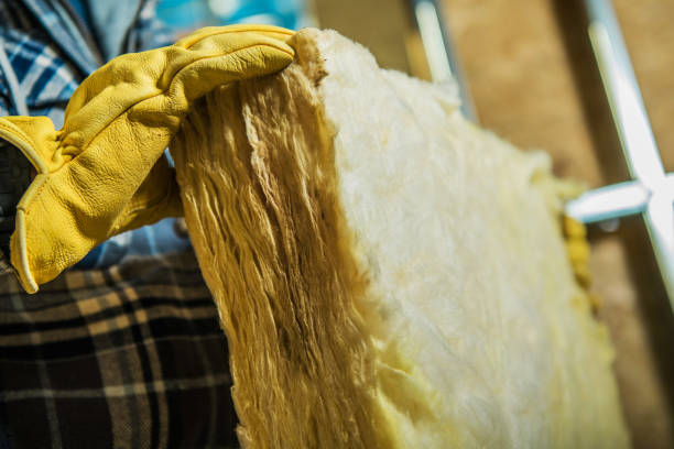 Best Spray Foam Insulation  in Garner, IA