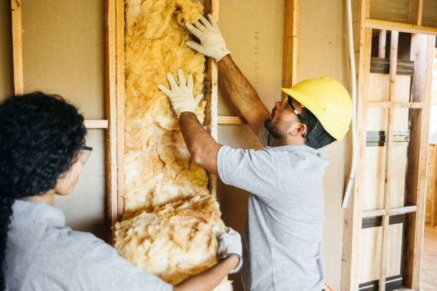 Best Wall Insulation Contractor  in Garner, IA