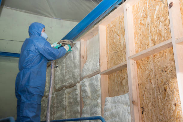 Best Blown-in Insulation  in Garner, IA