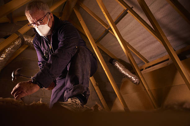 Best Cellulose Insulation  in Garner, IA