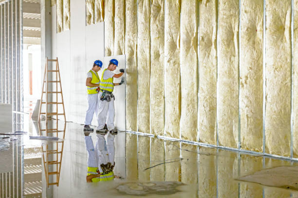 Insulation Replacement Services